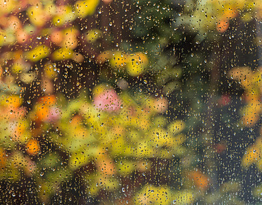 秋天雨天从窗户到花园的景象 窗玻璃上有雨滴图片