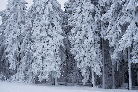 德国黑森州 Rhoen 的树林中的冬季景观 雪中的溪流和瀑布 高大的松树和雪冷杉 都被雪和冰覆盖着 冰冷的树木几乎是假的几何形状图片