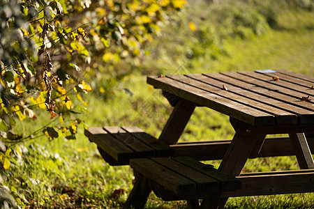 安息在公园 野餐桌在和平的周围娱乐长椅场地野餐椅子座位季节草地国家假期图片