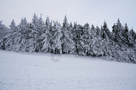 德国黑森州 Rhoen 的树林中的冬季景观 雪中的溪流和瀑布 高大的松树和雪冷杉 都被雪和冰覆盖着 冰冷的树木几乎是假的几何形状图片