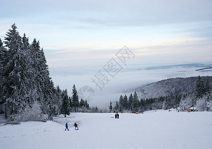 德国黑森州 Ren 的山上壮丽的冬季景观 神奇的高大苍松和雪杉覆盖着冰雪 地平线创造了一种幻觉 并与多云的天空和雾气融为一体 覆图片