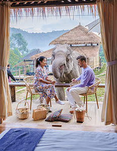 一对夫妇参观了泰国清迈大象保护区 山林大象农场和山区丛林野生动物热带游客女性冒险夫妻旅游避难所多样性保护区图片