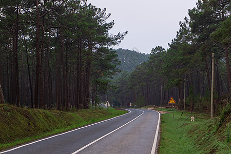 高山之间有条道路 覆盖着细密的森林图片