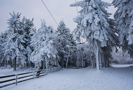 冬季在雪地滑雪 滑雪板或雪橇上放松的概念 日落时在德国黑森州山的夕阳下行走森林顶峰阳光爬坡季节冒险环境风景旅游水杯图片