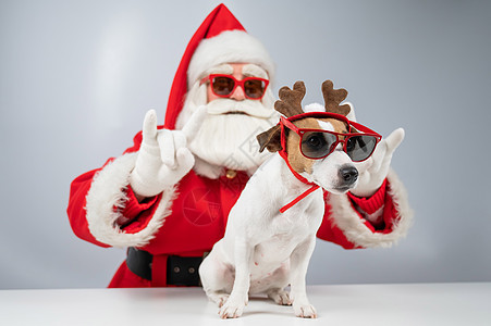 Santa Claus和圣塔的帮手 在白色背景的太阳镜上 杰克罗瑟尔穿鹿装的野狗戏服鼻子新年帽子传统小狗庆典胡须礼物展示图片