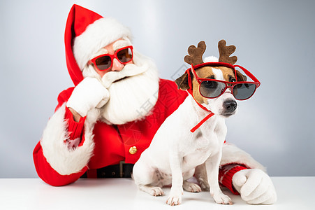 Santa Claus和圣塔的帮手 在白色背景的太阳镜上 杰克罗瑟尔穿鹿装的野狗鼻子戏服爪子季节鹿角驯鹿庆典礼物帽子假期图片