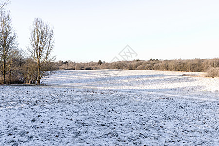 冬天的风景 雪中的田地 冬天的乡下图片
