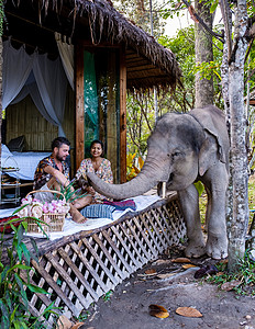 一对夫妇参观了泰国清迈大象保护区 山林大象农场和山区丛林男人避难所朋友们冒险野生动物环境驯象师旅行孤儿院文化图片