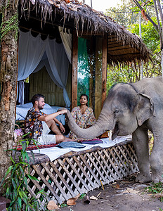 一对夫妇参观了泰国清迈大象保护区 山林大象农场和山区丛林森林女士环境孤儿院多样性旅游动物荒野旅行热带图片