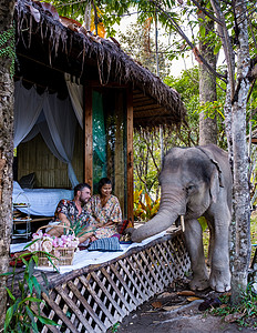 一对夫妇参观了泰国清迈大象保护区 山林大象农场和山区丛林男人哺乳动物避难所雨林女性朋友们旅游驯象师热带冒险图片