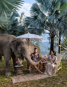 一对夫妇参观了泰国清迈大象保护区 山林大象农场和山区丛林夫妻荒野雨林森林环境哺乳动物驯象师热带游客男人图片