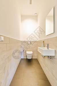 浴室 有厕所水槽和镜子花瓶桌子风格洗手间淋浴窗户控制板装饰地面房子图片
