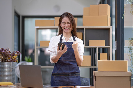 美丽的亚洲女商务人士的企业家使用笔记本电脑在线工作 并在家里庆祝她的工作成功快乐和幸福 小企业创业概念店铺营销地址盒子命令存货女图片