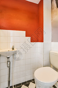 浴室 有厕所和洗手间地面装饰脸盆房子瓷砖淋浴血管窗户建筑学盥洗图片
