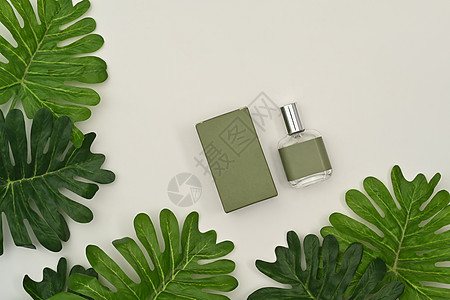 装有空白包装箱和白色背景热带叶的方香瓶及白底树叶图片