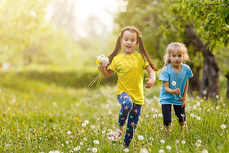 两个小女孩 与花朵小妹妹 在春草地的背景 笑声女孩团体童年太阳男生植物喜悦孩子孩子们女儿图片