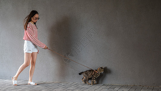一位年轻女子带着一只灰色的小猫走在一条皮带上猫科动物宠物探险家公园友谊猫咪爪子叶子女士图片