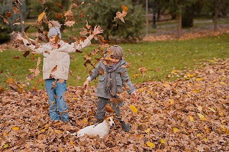 高加索儿童在秋天公园玩狗杰克·鲁塞尔泰瑞尔图片