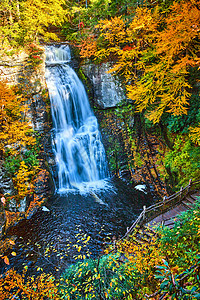 在宾夕法尼亚州山顶的森林中 潜入了神秘瀑布图片