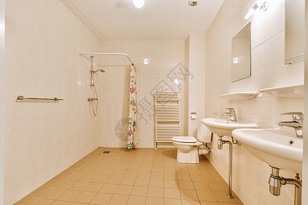 浴室 有淋浴池 厕所和洗手间装饰公寓地毯摊位奢华住宅桌子厨房沙发家具图片