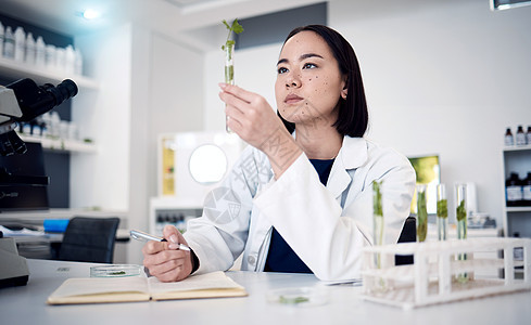 实验室研究 食品安全研究或农业发展中的女科学家 试管和植物 东京的亚洲医生 植物专家或叶片生长 健康叶片或科学基因编辑图片