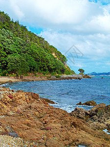 海岸惠灵顿 新西兰 海滩和海洋  新西兰海岸线蓝色阳光假期海景风景热带季节行动冲浪图片
