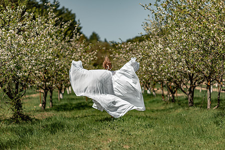 穿着白裙子的女人穿过开花的樱桃园 长裙飞向两侧 新娘一生都欢欣鼓舞 笑声跑步果园公园头发场地自由晴天女士婚礼樱花图片