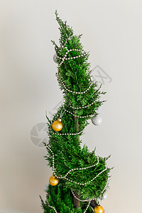 室内的囊肿或锅里的抽筋在装饰球 就像圣诞树特写一样 其他的圣诞树图片