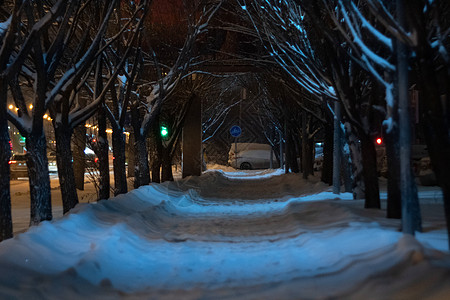 冬季晚上雪的风景覆盖了雪树和雪瀑上闪亮的灯光 美丽的世界 有选择的重点图片