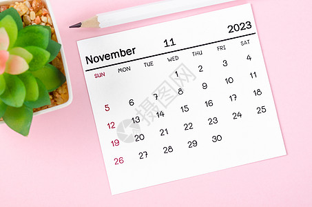 关于粉红色背景的2023年11月21日月历图片