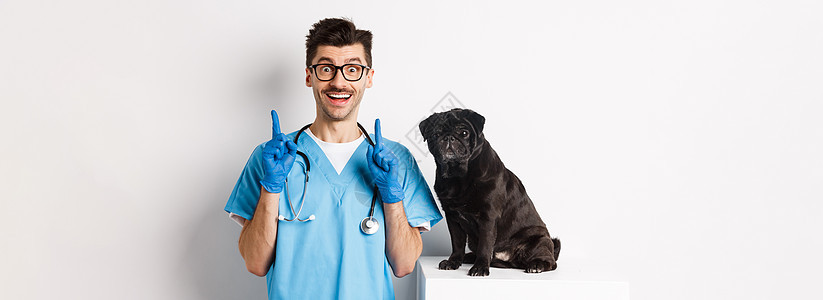 在兽医诊所的英俊年轻医生 指着手指 笑着印象深刻 站在可爱的黑小狗旁边 白色背景保健工作犬类医院宠物手套男人考试疫苗实验室图片