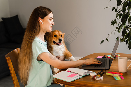 女孩使用笔记本电脑与朋友在线聊天 并在家里展示她的 Corgi 狗 威尔士柯基犬彭布罗克的生活方式 与家人视频连线 快乐的女孩和图片