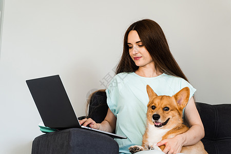 女孩和她的宠物坐在沙发上 一起看笔记本电脑上的电影 与威尔士人的生活方式是一对朋友拥抱休息远程教育友谊工作教育家庭互联网动物图片