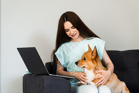 女孩和她的宠物坐在沙发上 一起看笔记本电脑上的电影 与威尔士人的生活方式是一对自由职业者公寓动物工作教育休息拥抱朋友远程教育家庭图片