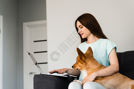 女孩和她的宠物坐在沙发上 一起看笔记本电脑上的电影 与威尔士人的生活方式是一对互联网公寓远程教育办公室女士休息家庭拥抱房子工作图片