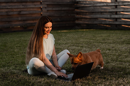 外面的生活方式女孩和 Corgi 狗 带着笔记本电脑的女孩在草地上抚摸着她的威尔士柯基彭布罗克狗 忙碌的年轻女人和她的狗一起休息图片