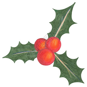 圣诞红饼和绿色叶子 由白色背景上的彩色薄荷分离而成图片