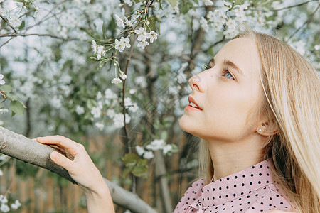 金发女孩在花园里春舞着樱花 女性肖像 特写 一个穿粉红色圆点装饰的女孩植物裙子微笑树木幸福长发女士金发女郎公园情绪图片