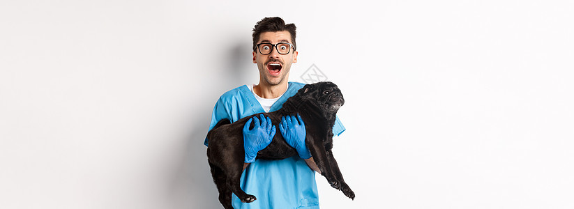 快乐的男医生兽医 带着可爱的黑小狗 盯着摄影机看 惊异 白种本底诊所手套医院宠物保健哈巴狗动物桌子药品工作图片