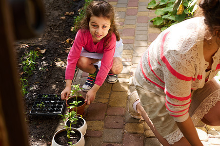 小女孩拿着一个粘土锅 长着幼苗 笑着可爱地看着照相机 同时帮助她妈妈种植园艺图片
