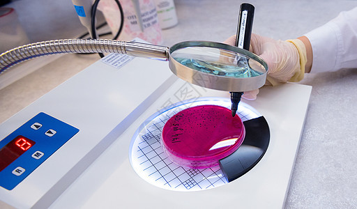 用细菌文化握住Petri Dish手药品测试研究技术考试疾病殖民地实验科学医院图片