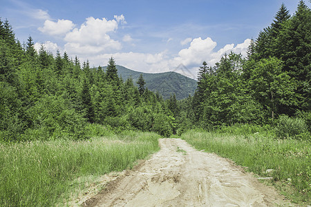 喀尔巴阡山山脉的森林道路 乌克兰图片