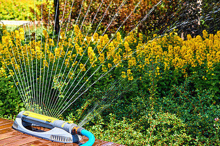 灌溉系统 喷水器 在城市公园的热天浇花图片
