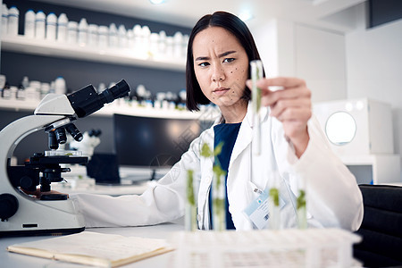 农业 食品安全或转基因植物的科学家女性 试管和实验室通过显微镜放在桌子上 亚洲科学专家 在东京从事树叶 幼苗的研究或生长或实验室图片