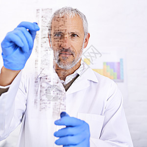 研究你的DNA 一位男性科学家 检查DNA测试结果的男科学家图片