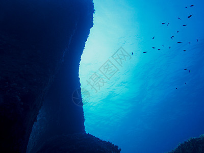 有小鱼和岩石的水底底底底底水下水族馆射线地面阳光光束液体海洋太阳藻类风景图片