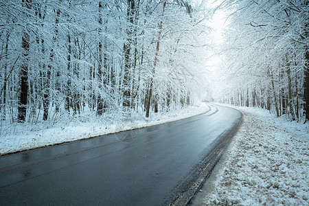 冬季雪林中的湿沥青路图片