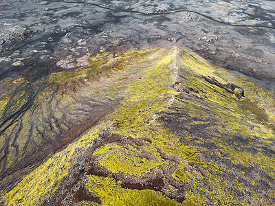 冰岛火山覆盖的地表和苔稼图片