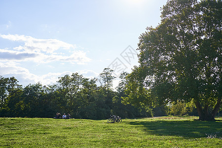 绿草和两辆脚踏车在树旁 阳光照亮了场景的风景 (日光束照亮了现场)图片