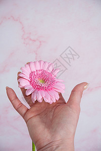 女人的手有不完美的修指甲 用粉粉色凝胶油和雪贝拉表皮化妆品红色魅力治疗皮肤抛光铅笔手指凝胶图片